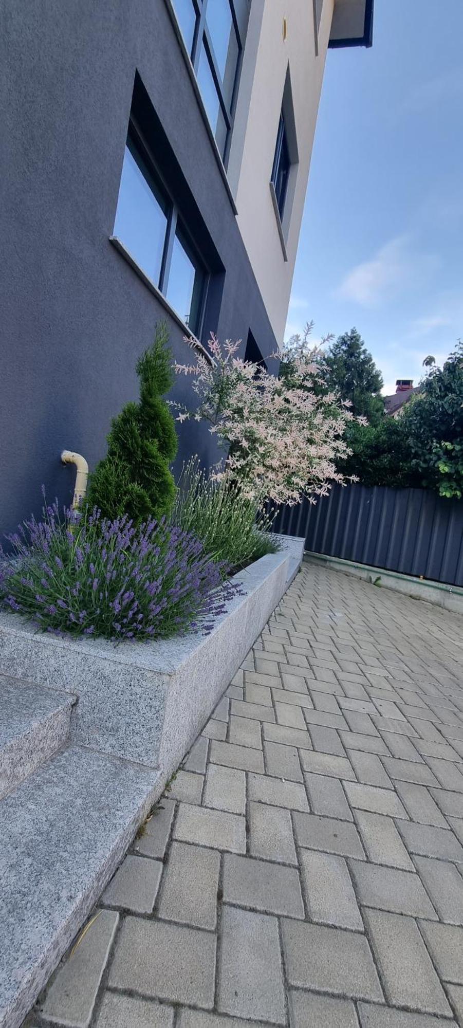 Yla Studio- Piatra Neamţ Dış mekan fotoğraf